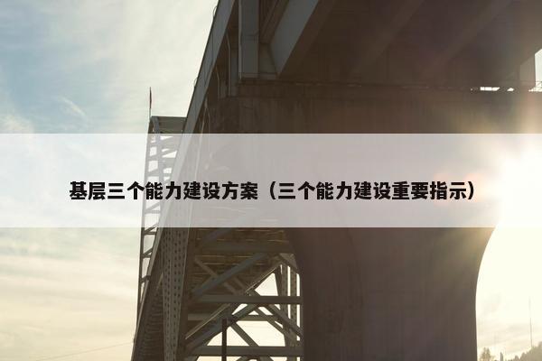 基层三个能力建设方案（三个能力建设重要指示）
