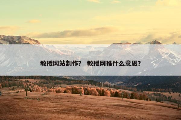 教授网站制作？ 教授网推什么意思？