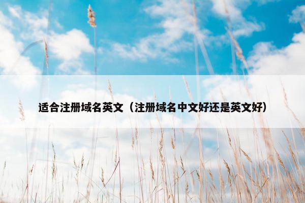 适合注册域名英文（注册域名中文好还是英文好）