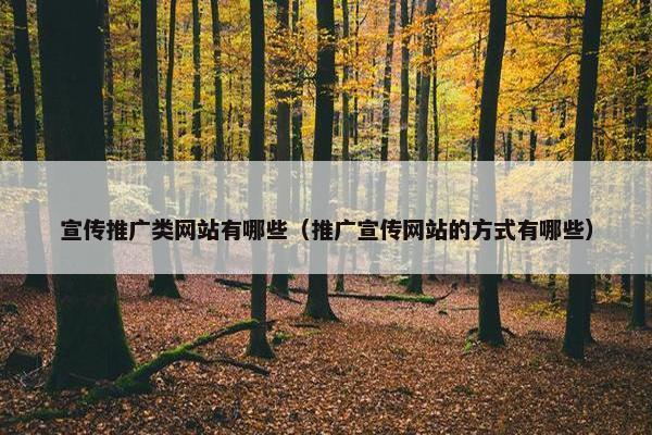 宣传推广类网站有哪些（推广宣传网站的方式有哪些）