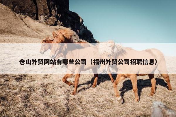 仓山外贸网站有哪些公司（福州外贸公司招聘信息）