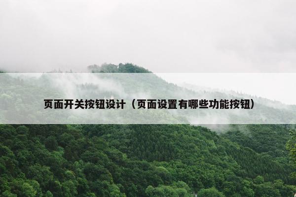 页面开关按钮设计（页面设置有哪些功能按钮）