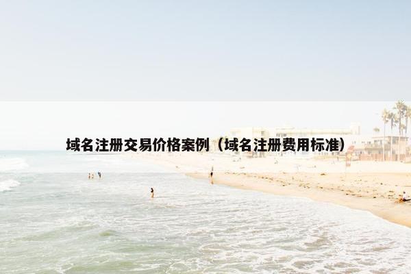 域名注册交易价格案例（域名注册费用标准）
