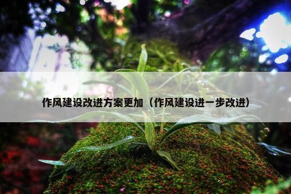 作风建设改进方案更加（作风建设进一步改进）