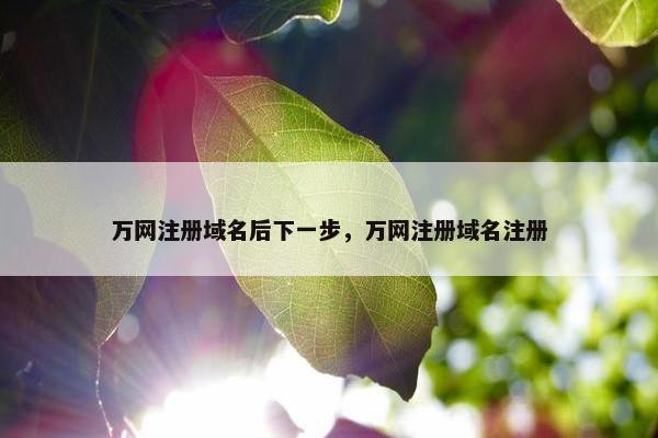 万网注册域名后下一步，万网注册域名注册