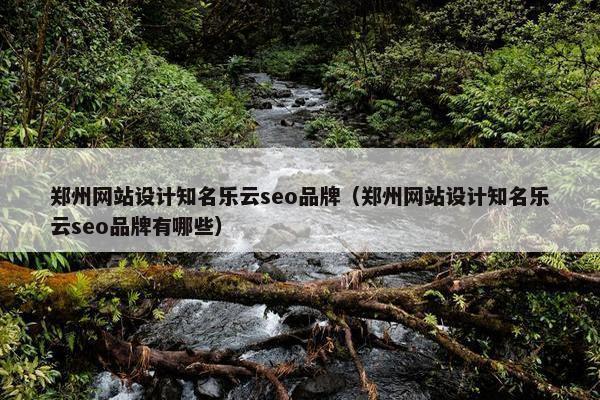 郑州网站设计知名乐云seo品牌（郑州网站设计知名乐云seo品牌有哪些）