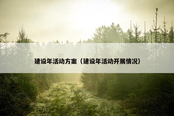 建设年活动方案（建设年活动开展情况）