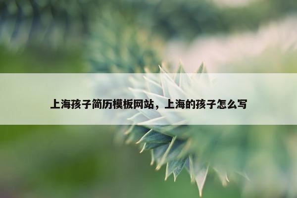 上海孩子简历模板网站，上海的孩子怎么写