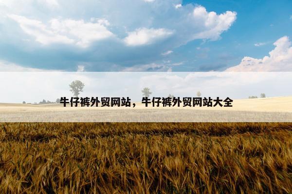 牛仔裤外贸网站，牛仔裤外贸网站大全