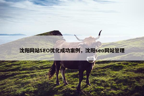 沈阳网站SEO优化成功案例，沈阳seo网站管理