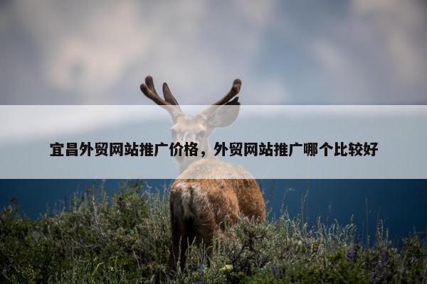 宜昌外贸网站推广价格，外贸网站推广哪个比较好