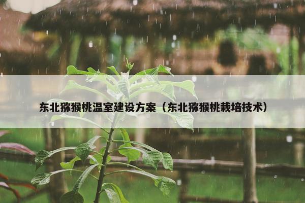 东北猕猴桃温室建设方案（东北猕猴桃栽培技术）