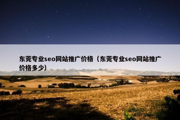 东莞专业seo网站推广价格（东莞专业seo网站推广价格多少）