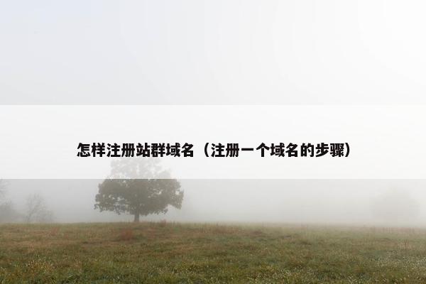 怎样注册站群域名（注册一个域名的步骤）