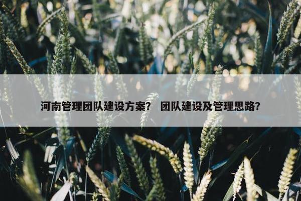 河南管理团队建设方案？ 团队建设及管理思路？