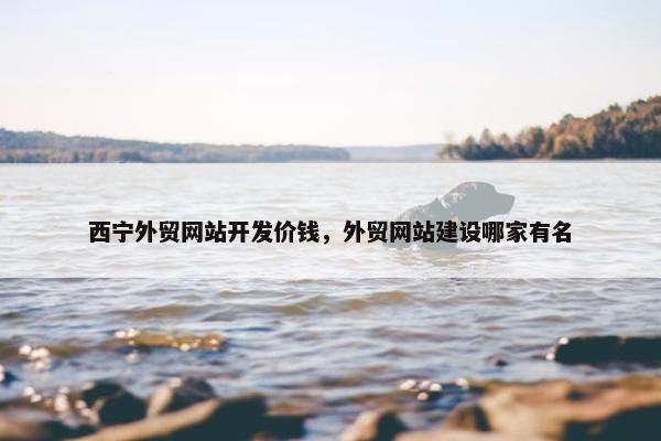 西宁外贸网站开发价钱，外贸网站建设哪家有名