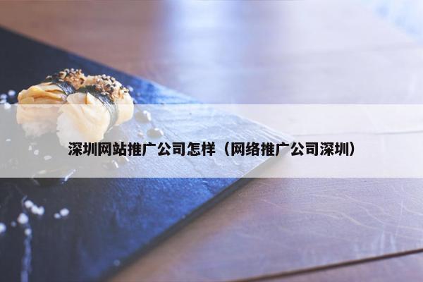 深圳网站推广公司怎样（网络推广公司深圳）