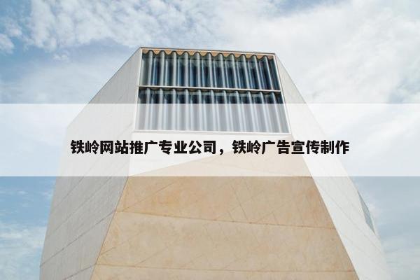 铁岭网站推广专业公司，铁岭广告宣传制作