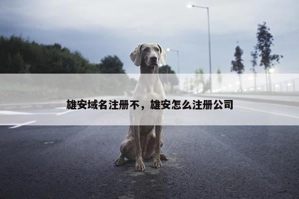 雄安域名注册不，雄安怎么注册公司