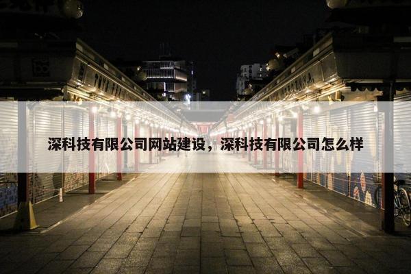 深科技有限公司网站建设，深科技有限公司怎么样