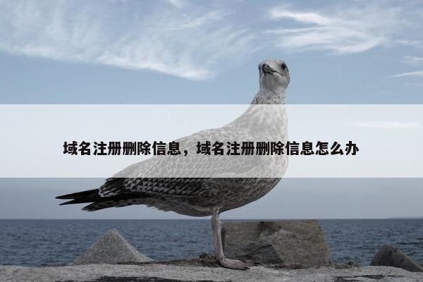 域名注册删除信息，域名注册删除信息怎么办