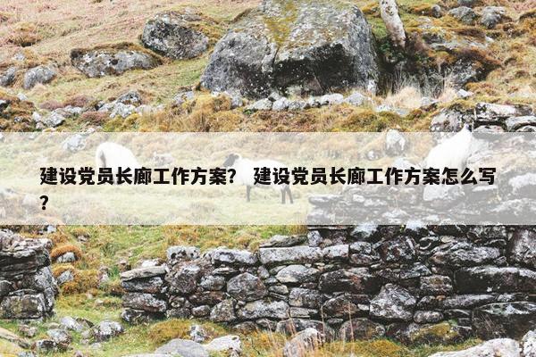建设党员长廊工作方案？ 建设党员长廊工作方案怎么写？
