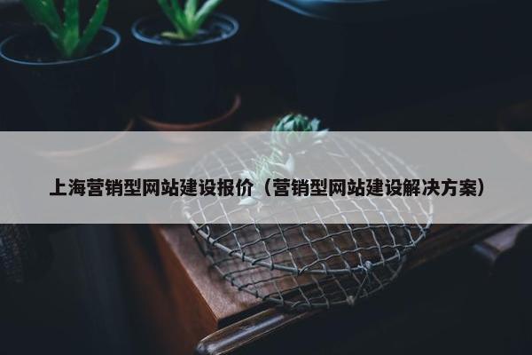 上海营销型网站建设报价（营销型网站建设解决方案）