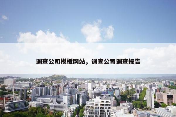 调查公司模板网站，调查公司调查报告