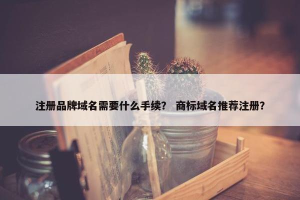 注册品牌域名需要什么手续？ 商标域名推荐注册？