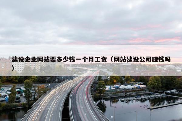 建设企业网站要多少钱一个月工资（网站建设公司赚钱吗）
