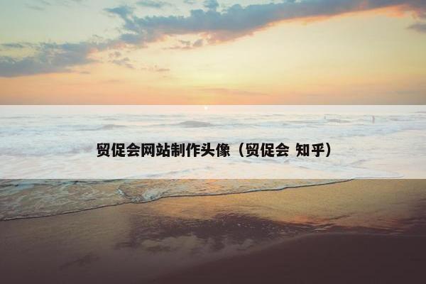 贸促会网站制作头像（贸促会 知乎）