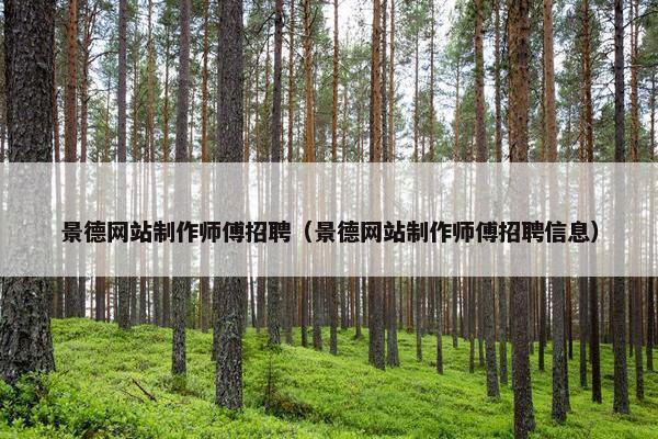 景德网站制作师傅招聘（景德网站制作师傅招聘信息）