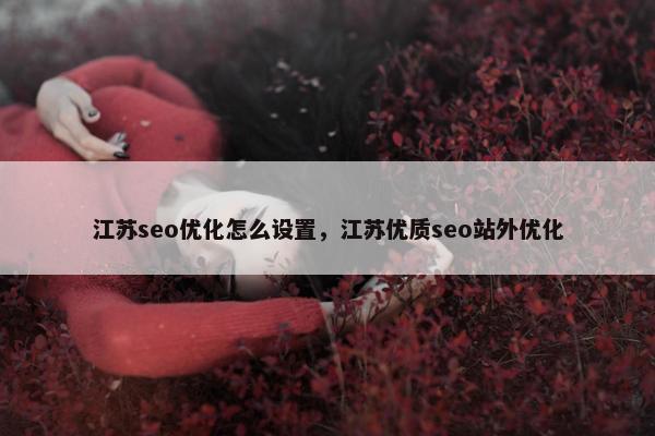 江苏seo优化怎么设置，江苏优质seo站外优化
