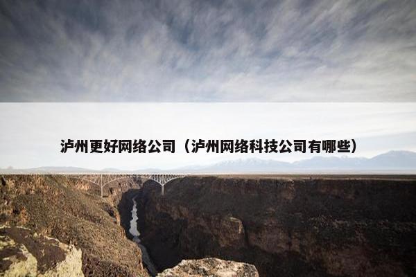 泸州更好网络公司（泸州网络科技公司有哪些）