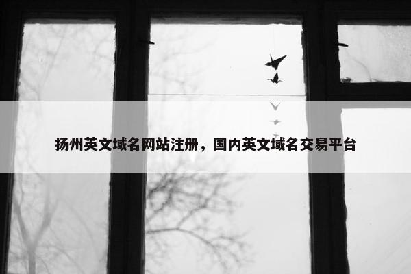 扬州英文域名网站注册，国内英文域名交易平台