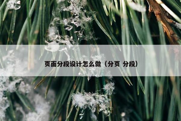 页面分段设计怎么做（分页 分段）