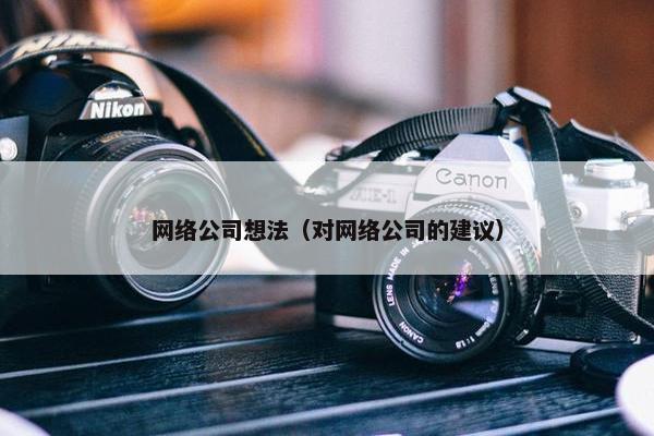 网络公司想法（对网络公司的建议）