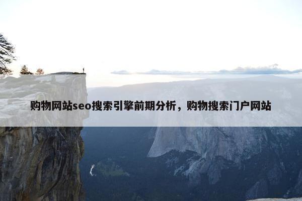 购物网站seo搜索引擎前期分析，购物搜索门户网站