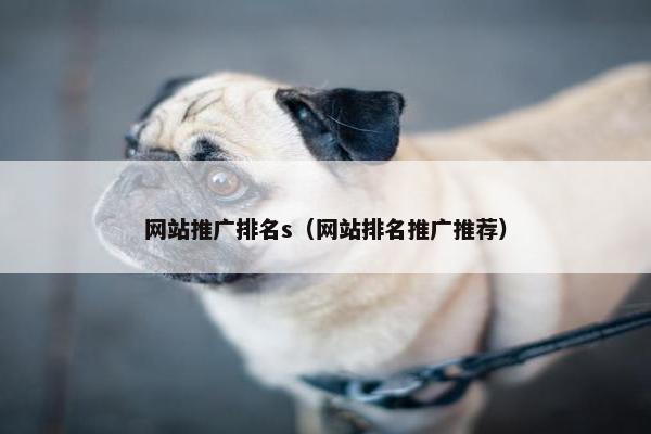 网站推广排名s（网站排名推广推荐）