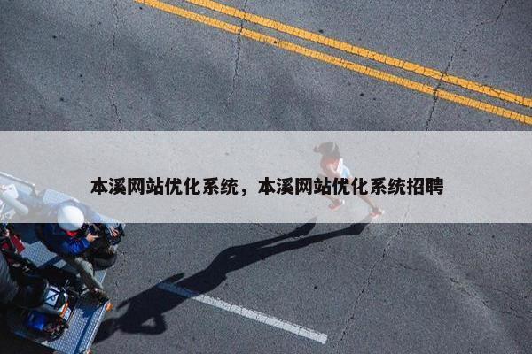 本溪网站优化系统，本溪网站优化系统招聘