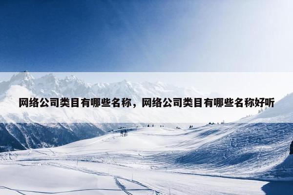 网络公司类目有哪些名称，网络公司类目有哪些名称好听