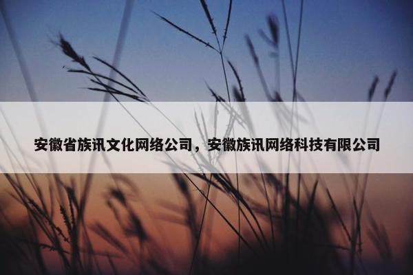 安徽省族讯文化网络公司，安徽族讯网络科技有限公司
