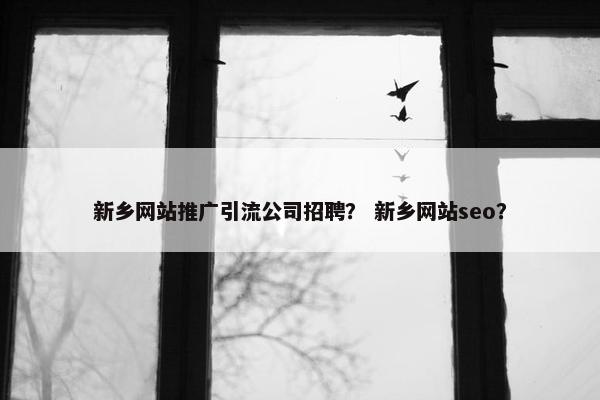 新乡网站推广引流公司招聘？ 新乡网站seo？