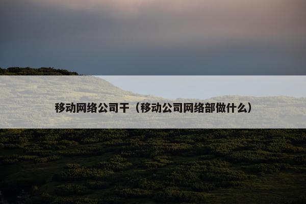 移动网络公司干（移动公司网络部做什么）