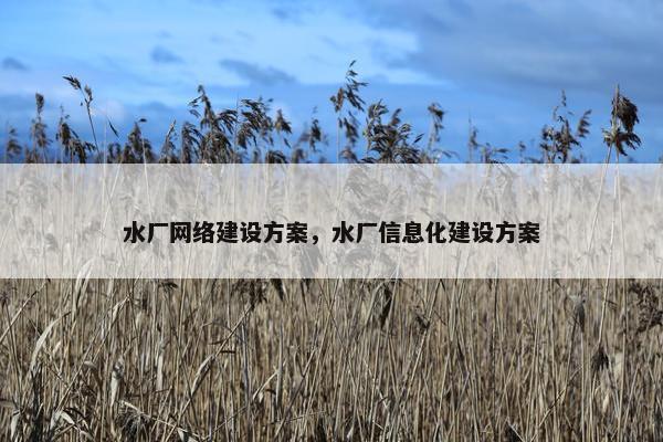 水厂网络建设方案，水厂信息化建设方案