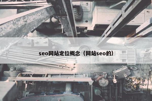 seo网站定位概念（网站seo的）