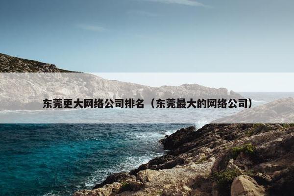 东莞更大网络公司排名（东莞最大的网络公司）