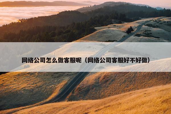 网络公司怎么做客服呢（网络公司客服好不好做）