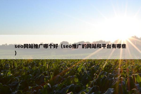 seo网站推广哪个好（seo推广的网站和平台有哪些）