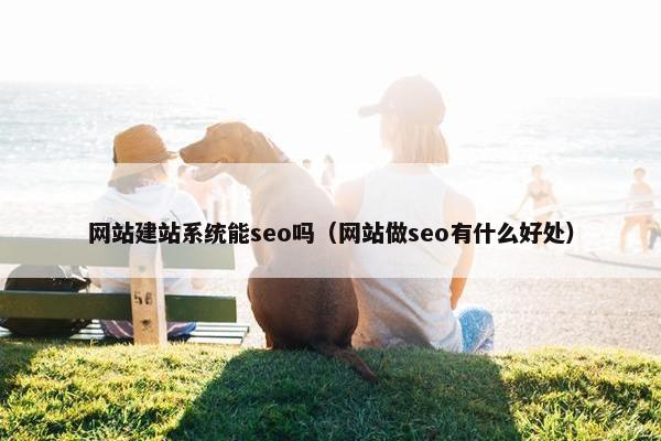 网站建站系统能seo吗（网站做seo有什么好处）